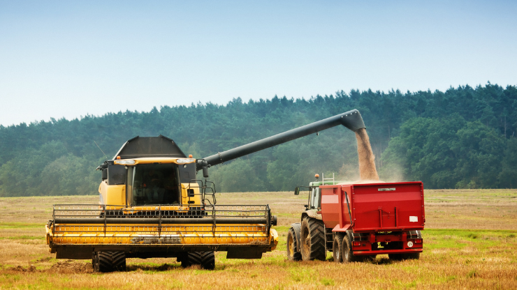 Nachhaltiges Landwirtschaftliches Produktions-management (M.Sc./Maestria)