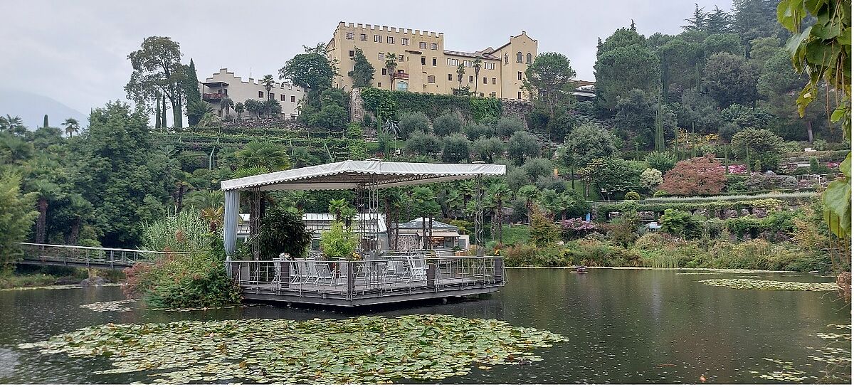Blick auf das Schloss vom Teich aus