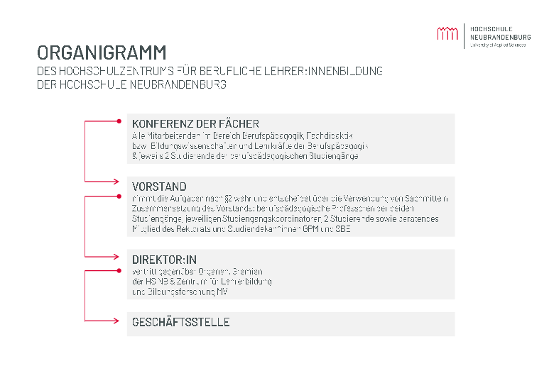 Organigramm des Hochschulzentrums für berufliche Lehrer:innenbildung Neubrandenburg