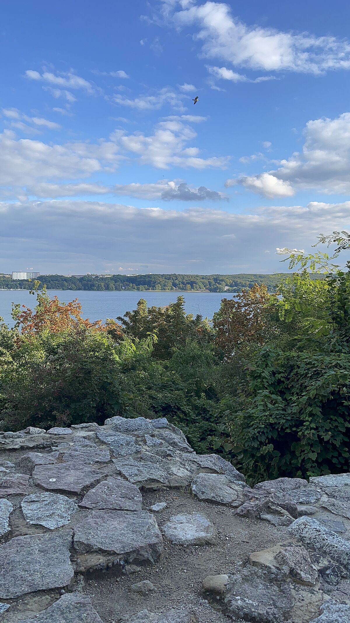 Menteetreffen: Wanderung und Reflexion am Tollensee