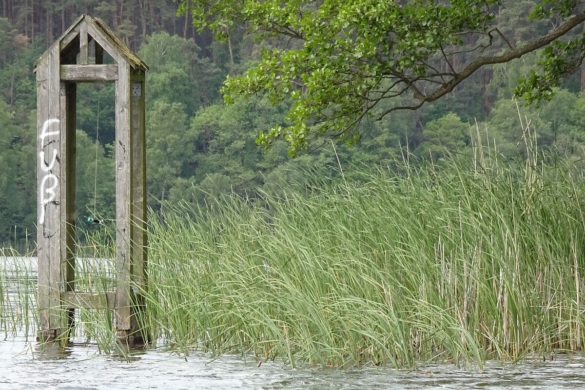 Kunstring am Müritz-Nationalpark