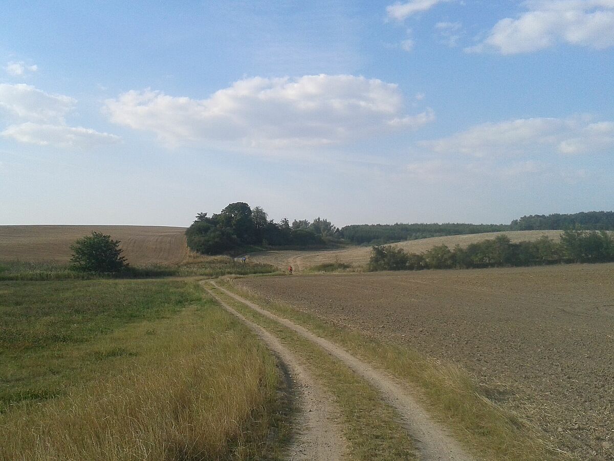 Landschaft und Siedlung