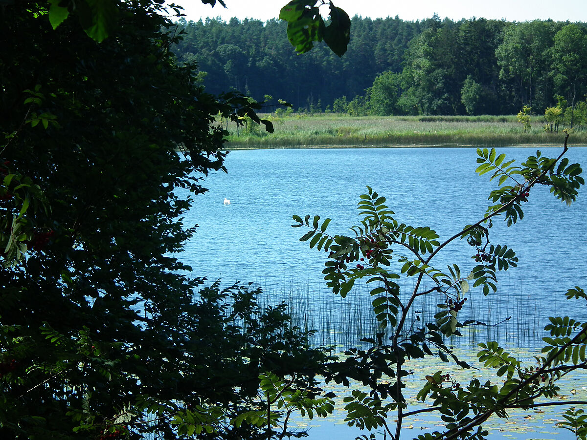 Mühlensee Ankershagen